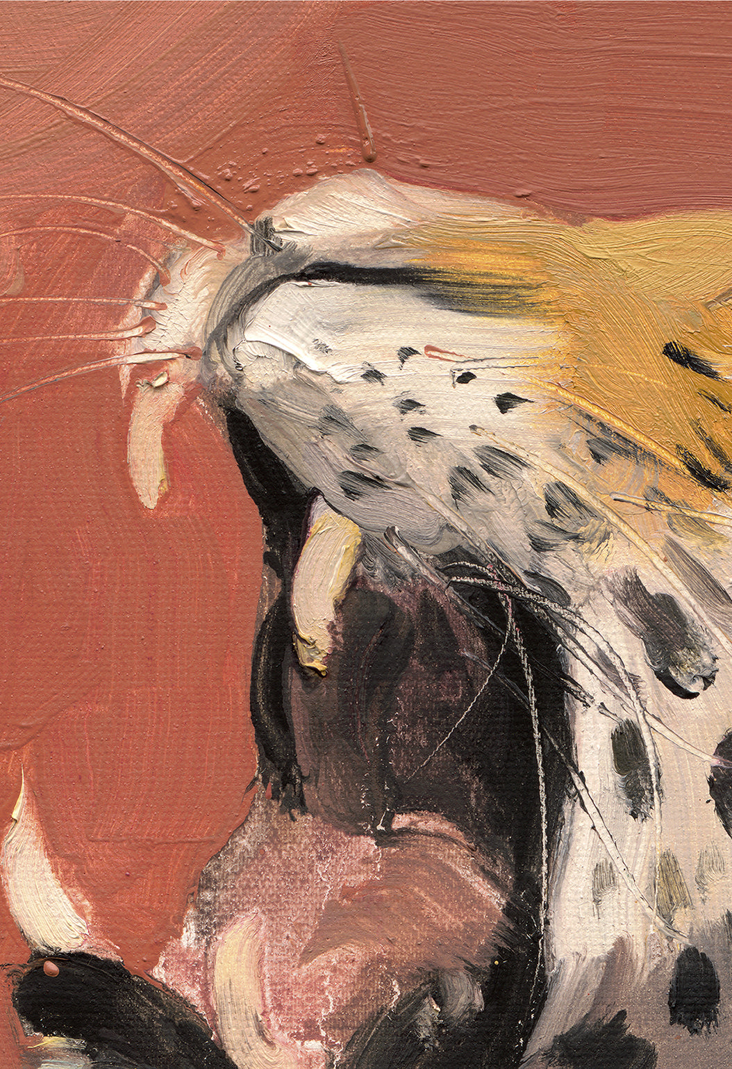 026 Yinyang leopard